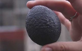 LINE-X в видеообзоре сайта TECH INSIDER