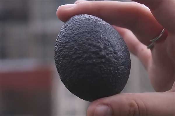 LINE-X в видеообзоре сайта TECH INSIDER