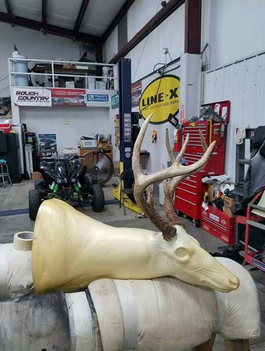 Покрытие Line-X - способ сохранения охотничьих трофеев