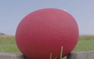 Арбуз против автомобильной подушки безопасности