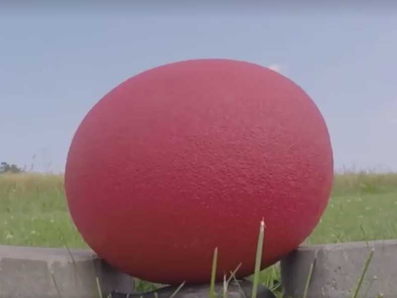 Арбуз против автомобильной подушки безопасности