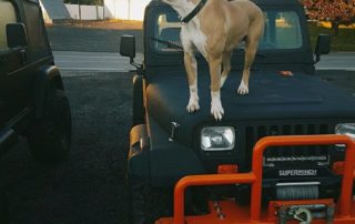 Line-X. Line-X – надежная защита для автомобиля от механических повреждений и коррозии.