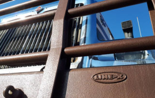 Бешеный Макс: дальнобойный грузовик с силовым бампером в Line-X