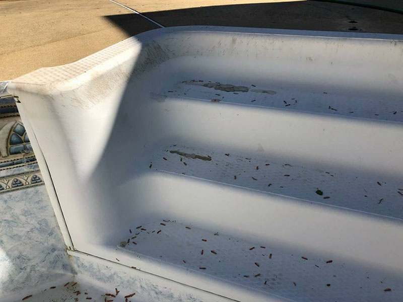 Line-X - лучшее покрытие для ремонт и защита бассейнов