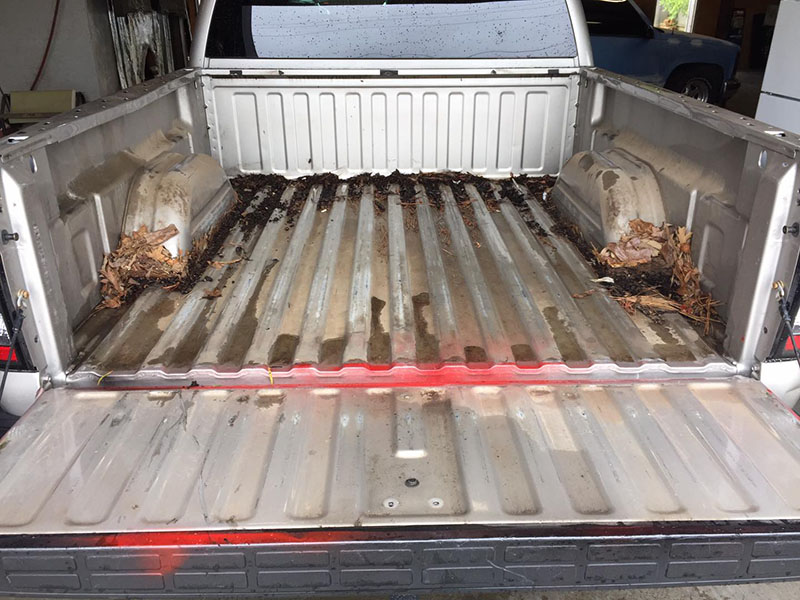 Line-X - ярко, красиво и практично